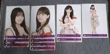 노기자카46 비리야니 봉입 브로마이드 정리