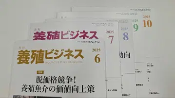 양식 비즈니스 6월호 ~ 11월호