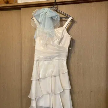 드레스 리본 포함