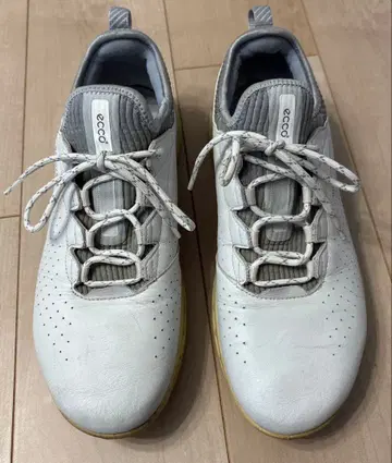 에코 골프화 25.5cm