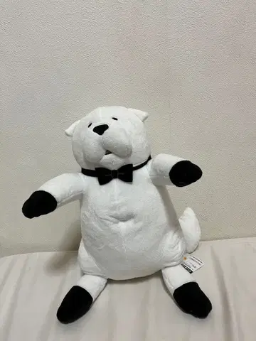 SPY x FAMILY 본드 봉제 인형