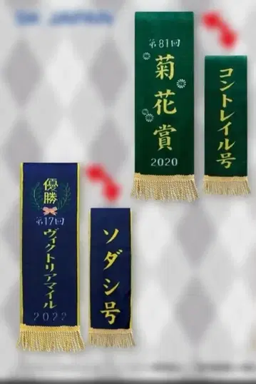 서러브레드 컬렉션 우승 레이 머플러 2 콘 트레일 소다시 세트