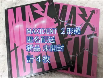 Stray Kids Maxident 미개봉 2형태 (총 4장)