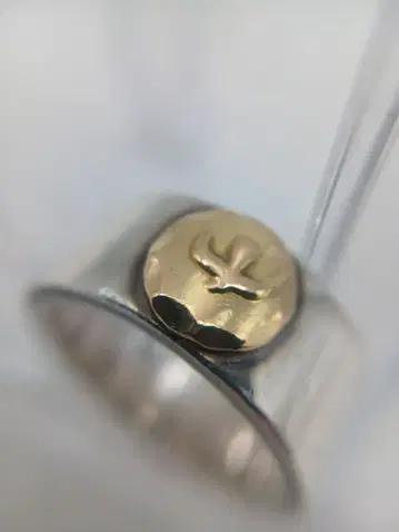 고로즈 히라타 링 13호