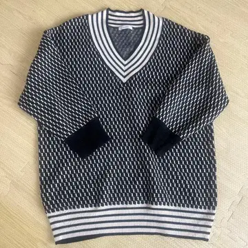 지나시스 V넥 니트 스웨터