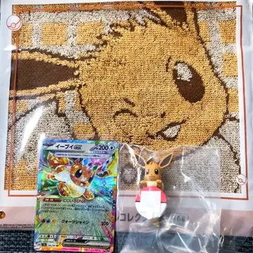 포켓몬 1번 복권 / F상 / I상 / 포켓몬 카드 이브이 ex