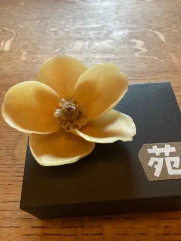 브로치 (크리스마스로즈) 원공방