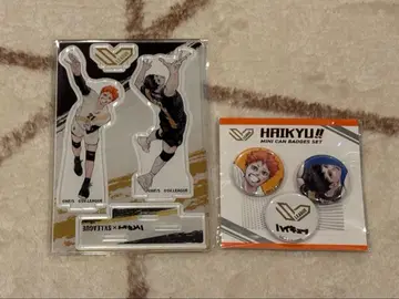 하이큐 SV리그 아크릴 스탠드 캔뱃지 히나타 쇼요 카게야마 토비오
