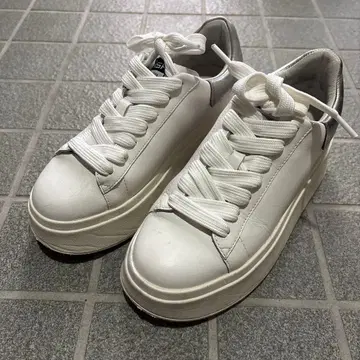 ASH 화이트 플랫폼 스니커즈