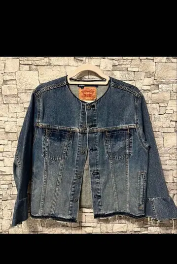Levi's 리메이크 데님 자켓 자수 포함