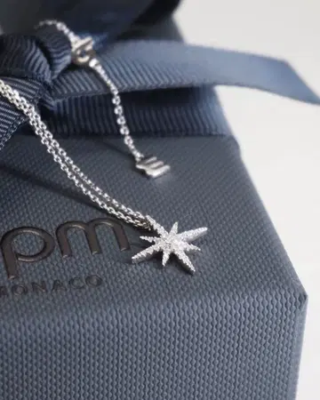 APM 모나코 메테오라이트 목걸이 - 실버