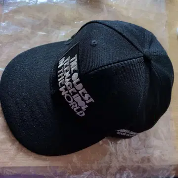 이나바사라스 캡 B