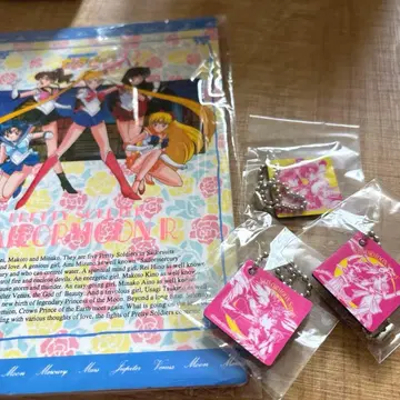 세일러문 당시 카드 케이스 키링 세일러문 카드