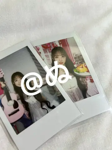 iLife! 논픽! 코르네 란체키