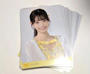 러프 x 러프 해바라기 의상 브로마이드 전 27종 풀컴프 세트