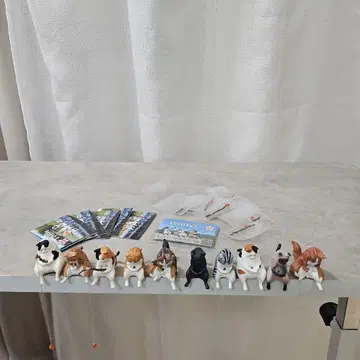 낚시 날씨 1 2세트