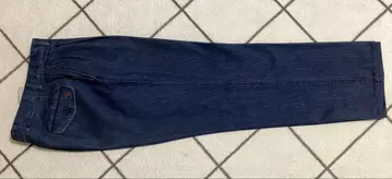 BLEU NIMES 블루님 2턱 센터 플리츠 데님 슬랙스