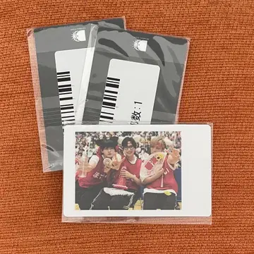 DD 대운동회 스크래치 하피카 Mesemoa. 팬더드래곤 ReLIT