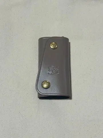 일비종떼 키케이스