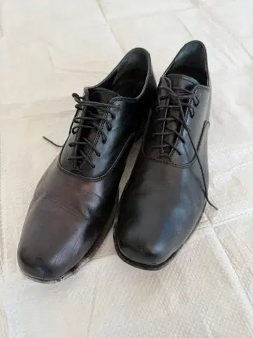 gianni barbato(잔니 바르바토)