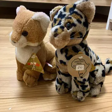 호랑이 새끼 세트