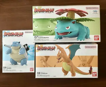 포켓몬 스케일 월드 관동 삼인방