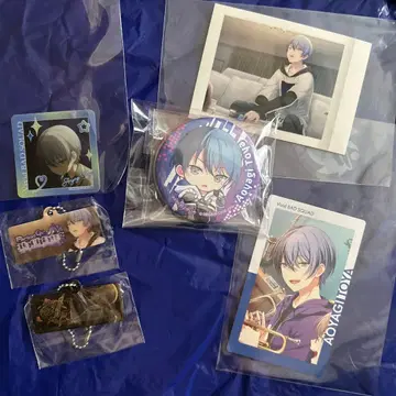 프로세카 아오야기 토야 묶음 판매