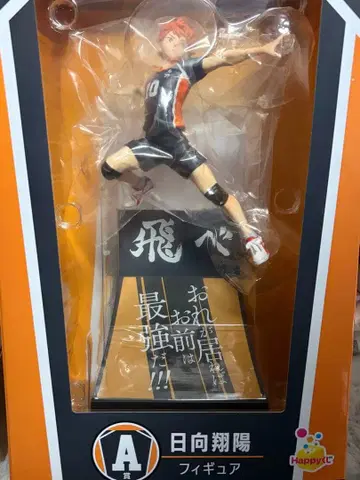 히나타 쇼요 Happy 복권 A상