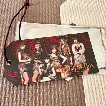 T-ARA 수하물 택 전원 ver.