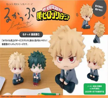 히로아카 룩업 바쿠고