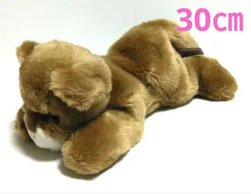 아기 사자 봉제 인형 AURORA 오로라 애니멀 동물