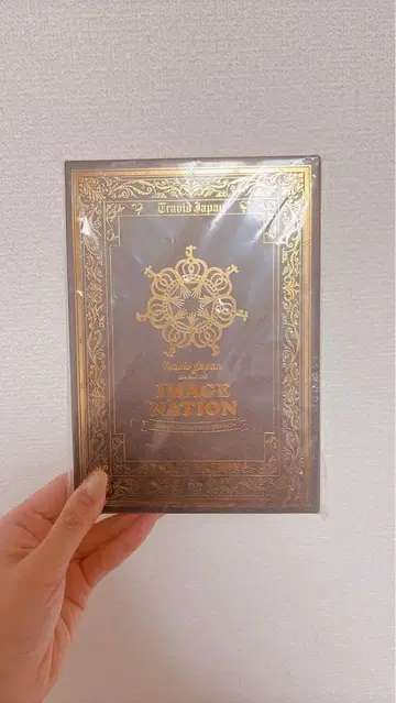 Travis Japan IMAGE NATION DVD