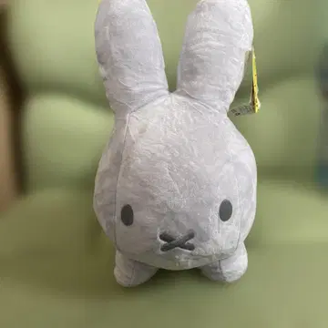 택 포함 새상품 블루나 애니멀