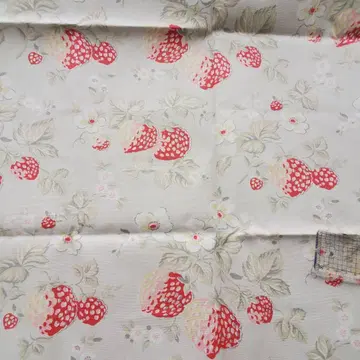 레어! [ sale ] 캐스 키드슨 코튼 덕 딸기