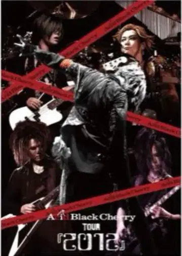 Acid Black Cherry 2012 Blu-ray