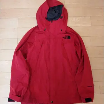 THE NORTH FACE 마운틴 후드티 고어텍스