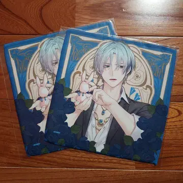 잘생긴 왕자 실비오 극세사 타월