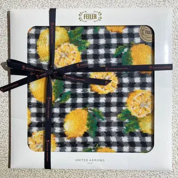 페이러 손수건 유나이티드 애로우즈 콜라보 시칠리아노 약 25cm