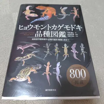 레오파드 게코 품종 도감 = LEOPARD GECKO Morph B -