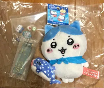 오키나와 하치와레 세트