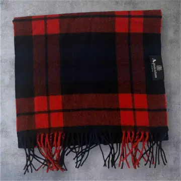 아쿠아 스큐텀 캐시미어 머플러 체크