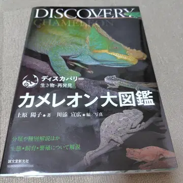 카멜레온 대도감