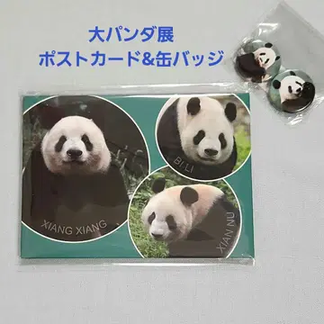 대팬더전 샹샹 리리 신신 엽서 캔뱃지