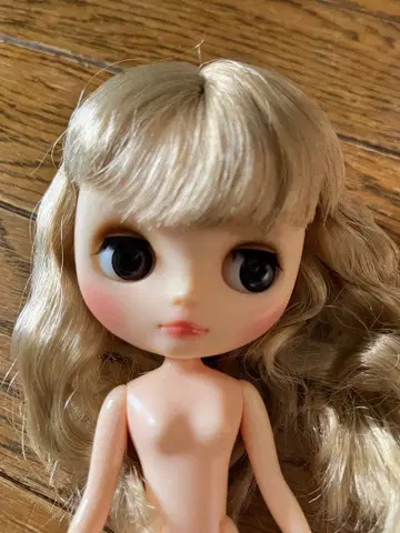 중고 커스텀 브라이스 미디 브라이스 작가님