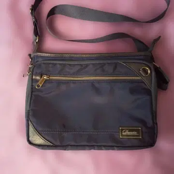 Darwin 네이비 숄더백