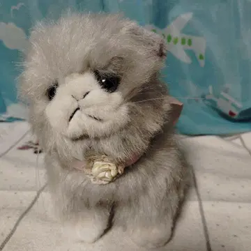 on the grass 봉제 인형 고양이 고양이