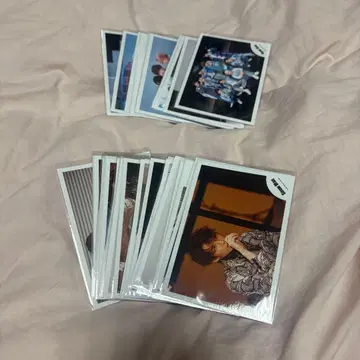 Snow Man 와타나베 쇼타 공식 사진