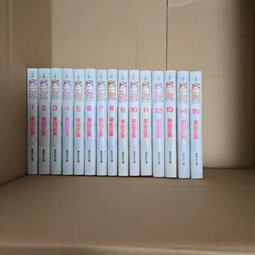 세인트 세이야 전 15권 세트