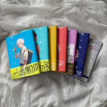 빛이 죽은 여름