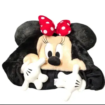 디즈니 미니 팬캡